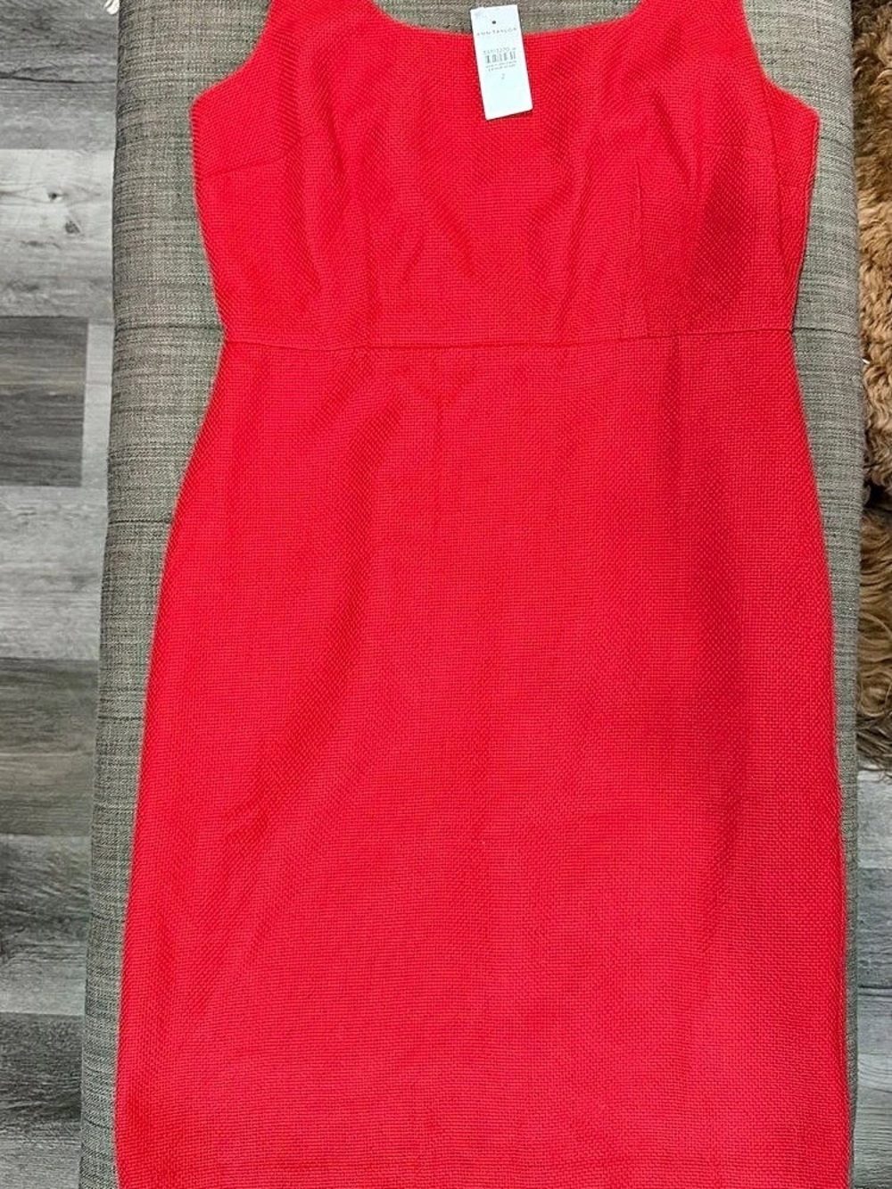 Ann Taylor Mini Dress in Pink Size 2 NWT